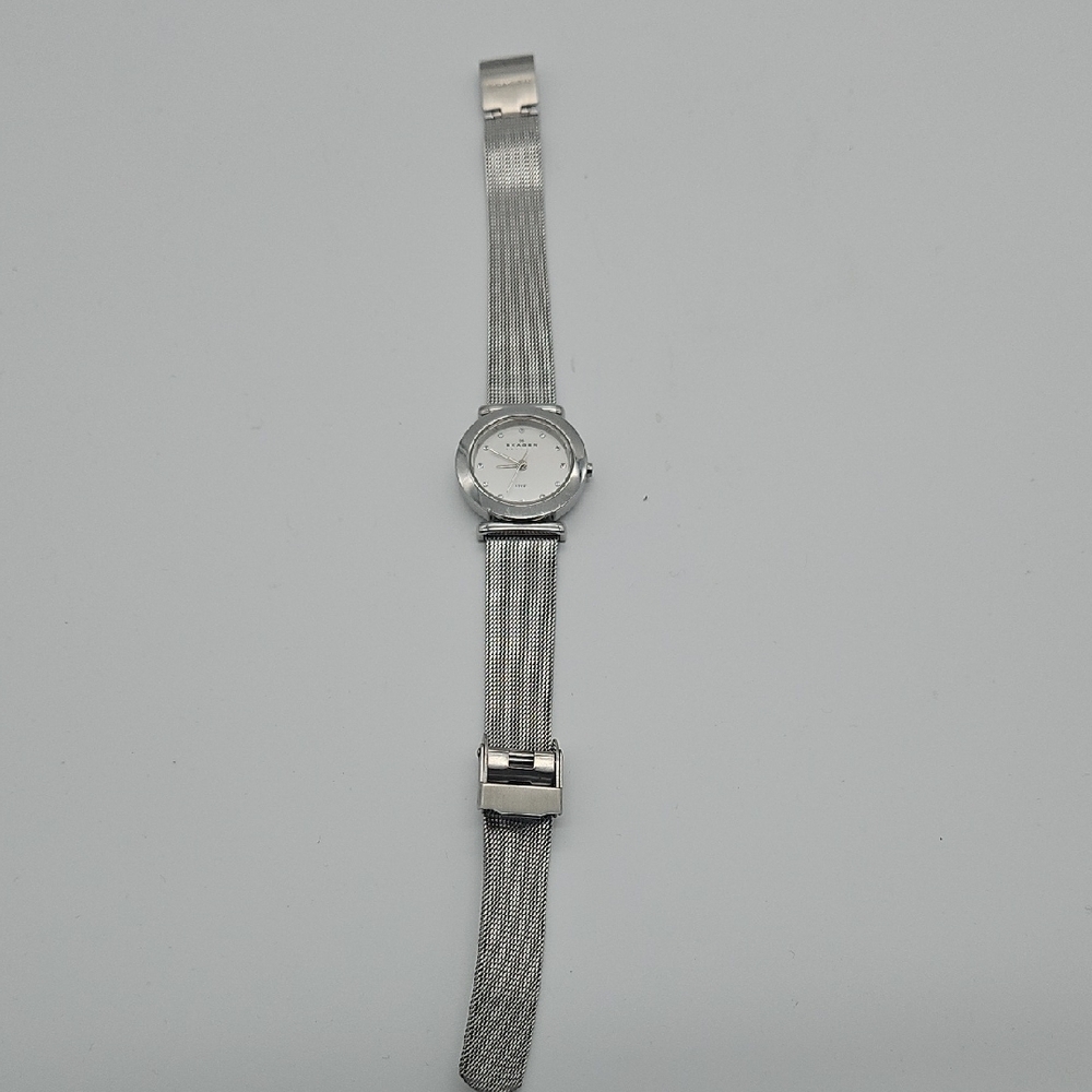 Skagen Silver Mesh Women's Watch